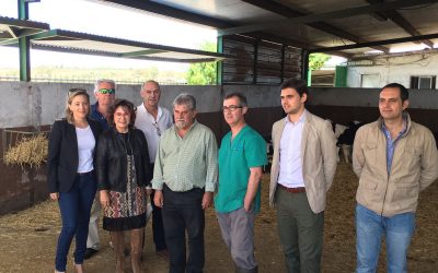 Riolobos: “El PP es el único partido con una propuesta clara, rotunda y de éxito para el campo”