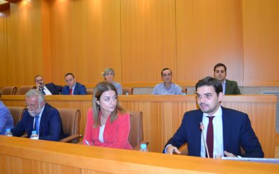 El pleno apoya por unanimidad la moción del PP para “exigir a la Diputación de Toledo la apertura inmediata de la Oficina Comarcal de Turismo”
