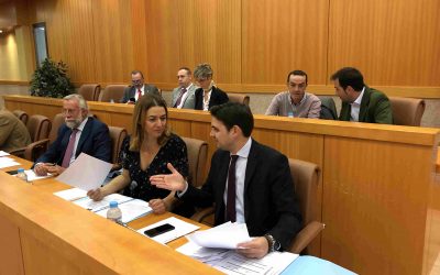 Unanimidad a la propuesta del PP para reclamar al Gobierno de España un Proyecto Estatal de Desarrollo del Camino Real del Guadalupe