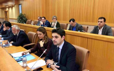 El PSOE vota en contra del Open de Ganado Frisón y del sector primario