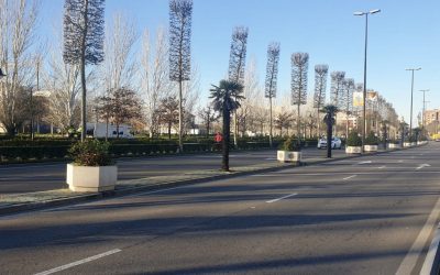 Delgado critica “el pasotismo absoluto” de la alcaldesa con la cerámica “ya que ni siquiera es capaz de reponer unos maceteros”