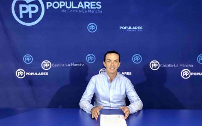 El PP pregunta a la alcaldesa “cuándo va a poner en marcha las soluciones milagrosas que el PSOE tenía en la oposición para acabar con la plaga de mosquitos”