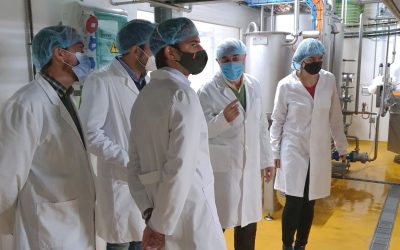 El PP reivindica la pujanza del sector ganadero y señala que “es tarea de todos recuperar su prestigio social”