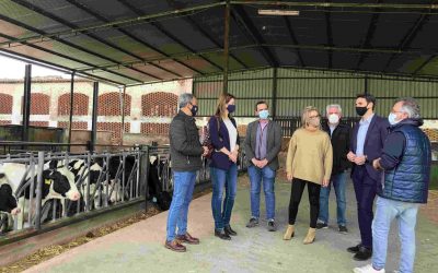 El PP-CLM  quiere que Page copie a Ayuso en la bajada de impuestos para ayudar a autónomos, agricultores, ganaderos y familias