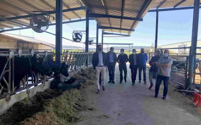 Cañizares: “Agricultores y ganaderos reciben el ninguneo de Sánchez y Page que siguen sin defender sus intereses”