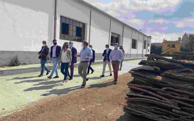 Merino resalta que Paco Núñez defiende la creación de empleo y la bajada de impuestos frente a Page, “que prohíbe y los sube”