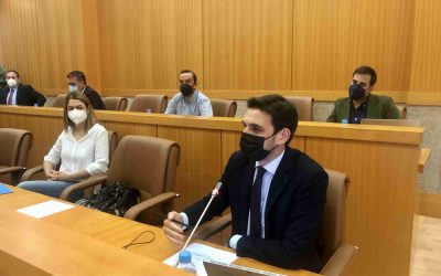 Serrano: “Los presupuestos de 2021 constatan la inacción del Gobierno de Agustina García ante la pandemia”