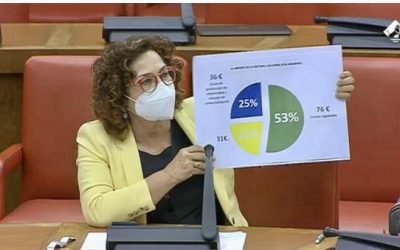 Riolobos exige al Gobierno “medidas urgentes” para bajar el recibo de la luz ante su “encarecimiento desbocado”