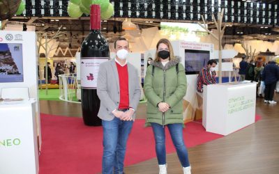 Delgado: “El PSOE llega tarde y mal a la promoción de Guadalupe, del turismo, del Conjunto Histórico y de la cerámica”