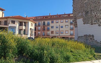 Higueruela: “La dejadez del PSOE ha convertido a Entretorres en una selva”