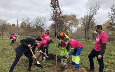 El PP reivindica el pacto y el entendimiento como herramientas básicas para conseguir la igualdad real