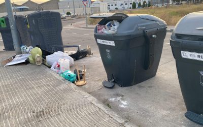 El PP pide a Agustina García que actúe “de forma urgente” contra la proliferación de ratas y cucarachas