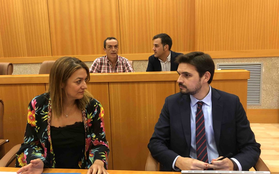 El PSOE se niega a elaborar un plan de actuación para garantizar el desarrollo de grandes eventos