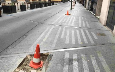 El PP muestra su preocupación por la tala de árboles en la Corredera: “el PSOE ha dejado sin sombra a la mitad de la calle”