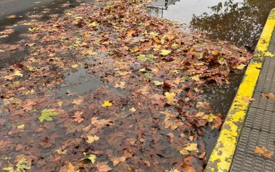 Gregorio denuncia la falta de previsión de la alcaldesa del PSOE, que provocó ayer el colapso de Talavera por las intensas lluvias