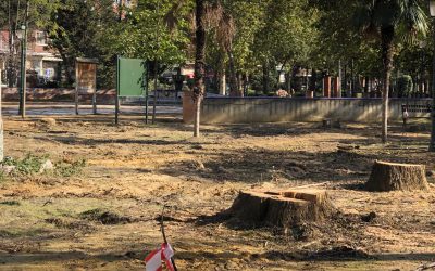 Serrano critica la opacidad de la alcaldesa “que se negó” a responder en Pleno sobre los enterramientos encontrados en el Prado