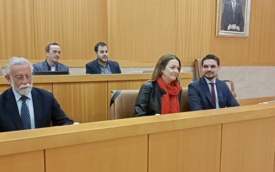 Agustina García se niega a informar de lo que pasa en el Prado y a evaluar exhaustivamente el arbolado para evitar desprendimientos