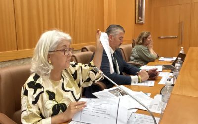 El PP consigue unanimidad para pedir a la Junta que mejore la accesibilidad del Ruiz de Luna