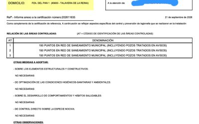 Sanidad desmiente las afirmaciones sobre la falta de actuación contra las ratas y acredita un tratamiento realizado el 21 de septiembre